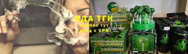 сатива Краснослободск