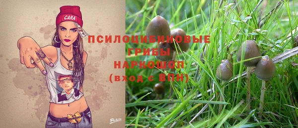 сатива Краснослободск