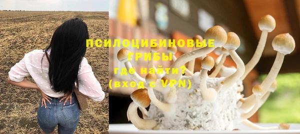 сатива Краснослободск