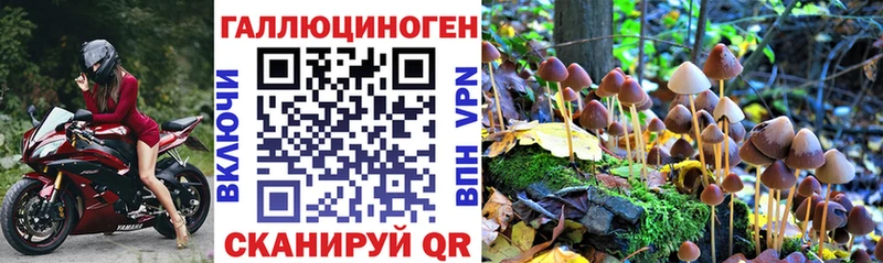 Галлюциногенные грибы Cubensis  купить закладку  Арзамас 